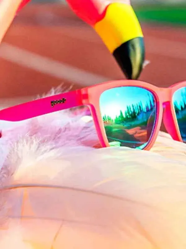 Flamingos on a booze cruise